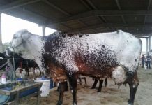 Governador assina decreto de isenção fiscal que beneficia Bacia Leiteira