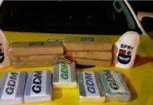 Polícia apreende mais de 10kg de droga avaliada R$ 110 mil na AL-101 Sul