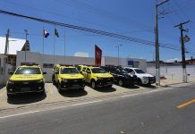 Idosa sofre agressões de filho supostamente embriagado e polícia é acionada