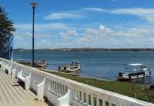 Corte de árvores: populares acusam prefeitura de Porto Real do Colégio de perseguição política