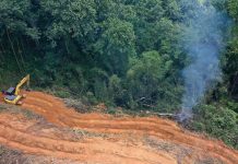 Ibama aplicou 3.800 autos de infração contra desmatamento este ano