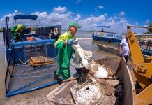 Ecoboats recolheram 400 toneladas de lixo da Lagoa Mundaú