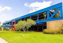 Proprietários de ciclomotores têm até dezembro de 2025 para regularizar situação junto ao Detran-AL