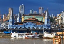 Cúpula da Amazônia começa nesta terça-feira (8)