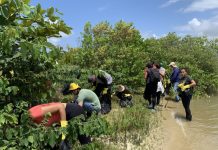 Parceria entre Alurb e instituições promove ação de limpeza na Lagoa Mundaú