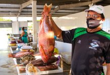 Mercados e feiras de Maceió funcionam normalmente no feriado de Nossa Senhora Aparecida