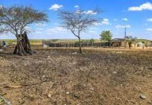 Chuva abaixo da média deve acelerar processo de seca em AL