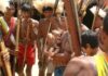 Brasil concentra mais da metade dos povos indígenas isolados do planeta