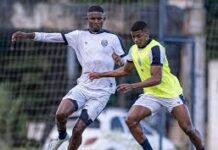 CSA deve fazer amistosos em dezembro para testar o elenco