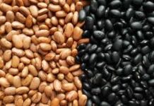 Veja quais são os benefícios e diferenças entre feijão carioca e preto