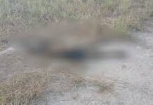 Crianças encontram corpo em decomposição enquanto soltavam pipa em Maceió