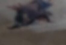 Homem é assassinado após ser chamado na porta de casa em Arapiraca; dupla é suspeita