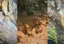 Corpo encontrado em Milagres pode ser de um dos 18 desaparecidos da região, diz delegado