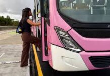 Ônibus da Mulher começa a funcionar hoje; confira as linhas