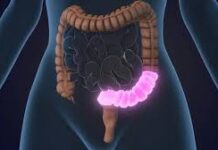 4 regras obrigatórias para proteger o intestino ao tomar antibióticos