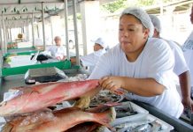 Tradicional Feira do Peixe Vivo gera renda e oferece qualidade dos produtos