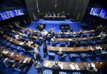 Senado aprova parecer que pede suspensão dos decretos das armas