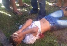 Passageiro armado atira em suspeitos de assalto dentro de van no Clima Bom