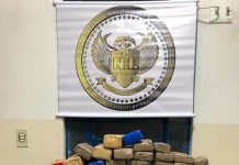 PC prende homem e apreende mais de 60 Kg de maconha