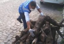 Durante fiscalização na capital, lenhas e fogos de artifício são apreendidos