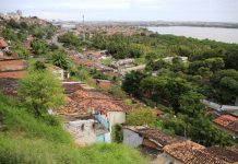 Bairros que afundam podem virar floresta