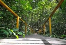 Parques de Maceió voltam a funcionar nos finais de semana