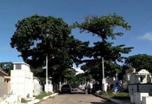 MPE monitora medidas para evitar crimes nos cemitérios de Maceió