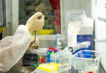 Covid: Alagoas registra queda de óbitos, mas casos voltam a subir em cinco regiões