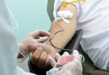 Hemoal abre para coleta de sangue neste sábado e no feriado da Padroeira