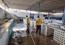 Mercado passa por higienização e segue com ordenamento de barracas