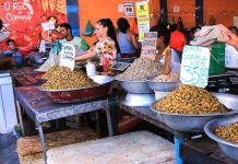Preço do sururu dobra às vésperas do feriado de Páscoa