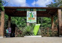 Trilhas do Parque Municipal de Maceió serão reabertas hoje (18) após passarem por manutenção