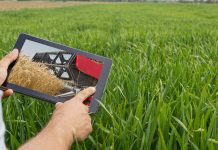 Ministério da Fazenda inicia avaliação sobre crise no agronegócio