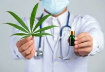 Novas regras da Anvisa ampliam acesso à cannabis medicinal e beneficiam pacientes em AL