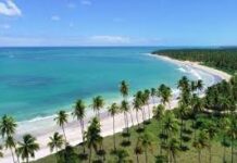 Com expansão inédita de voos, AL se prepara para alta temporada com expectativa de 1,3 milhão de passageiros