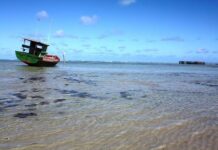 Praia alagoana é eleita uma das 100 mais icônicas do mundo; saiba qual