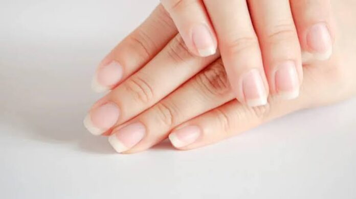 UNHAS