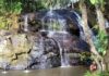 Murici revela um Alagoas onde a natureza é a grande protagonista