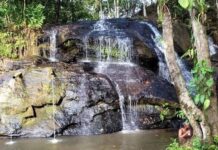 Murici revela um Alagoas onde a natureza é a grande protagonista