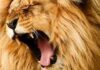 Coordenador de campanha de Lula defende alta de imposto para super-ricos