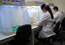 Estudo liga bactérias do intestino e da boca a traços de psicopatia