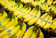 Alimentos que ajudam a combater o refluxo e a azia