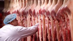 CARNES