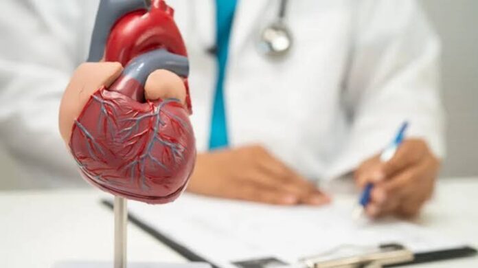 CORAÇÃO MEDICO