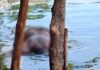 Corpo de homem é encontrado boiando por pescadores na Lagoa Mundaú