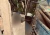 Homem com tornozeleira eletrônica é assassinado a tiros em residência em Arapiraca