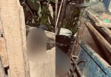 Homem com tornozeleira eletrônica é assassinado a tiros em residência em Arapiraca